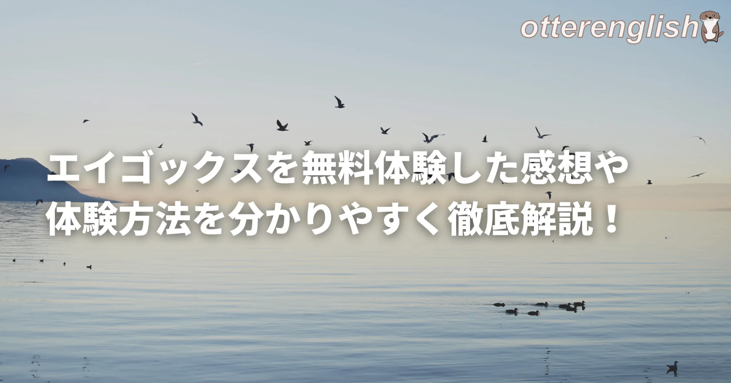 エイゴックスの無料体験を表した自由自在に飛び回る鳥の画像