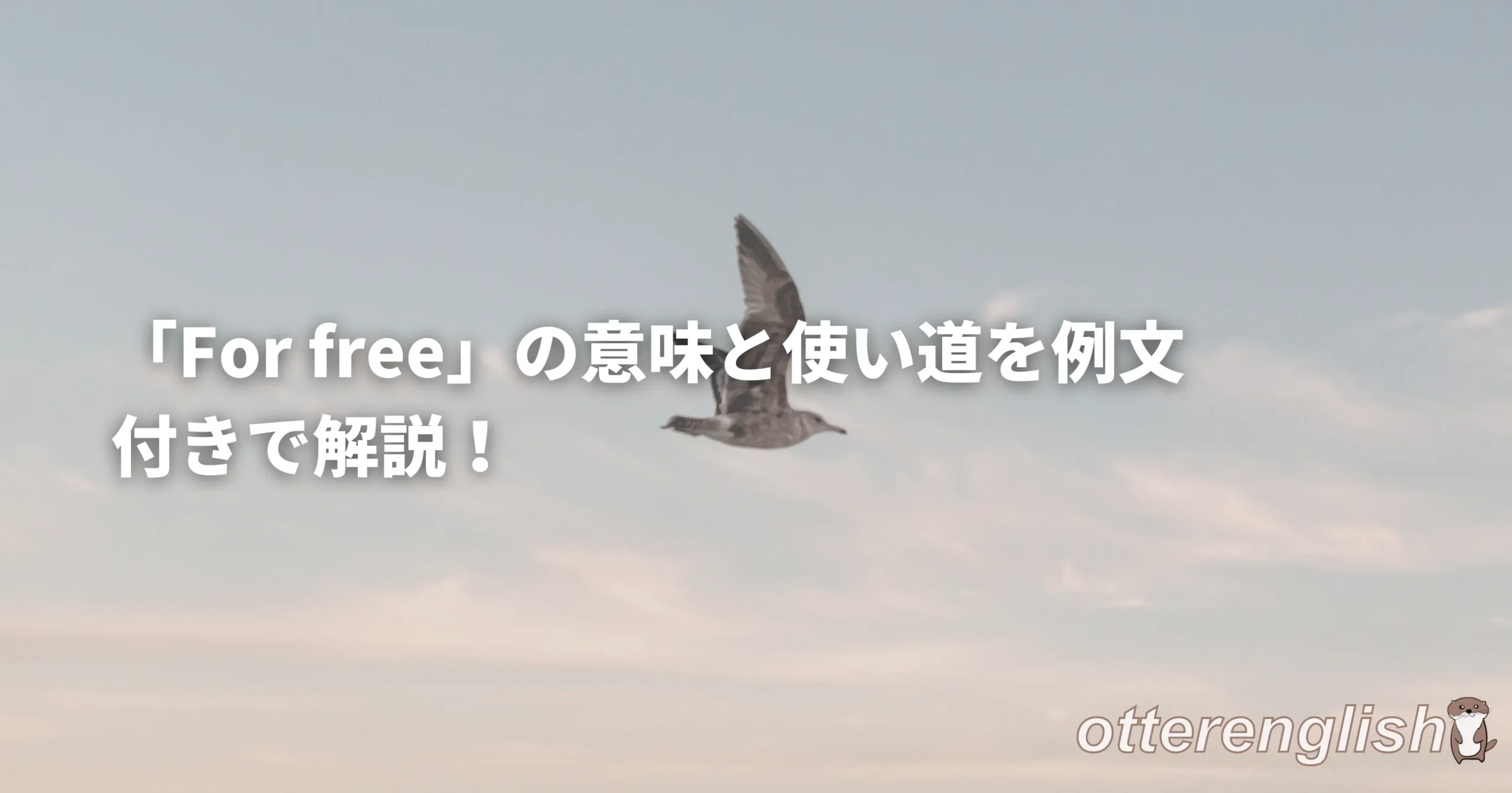 for freeを表した無料で飛び回る鳥の画像