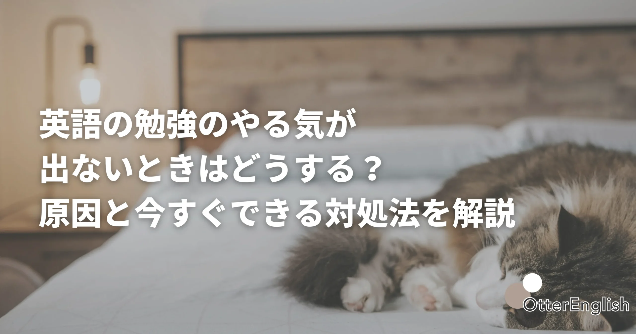 ベッドで寝ている猫の画像