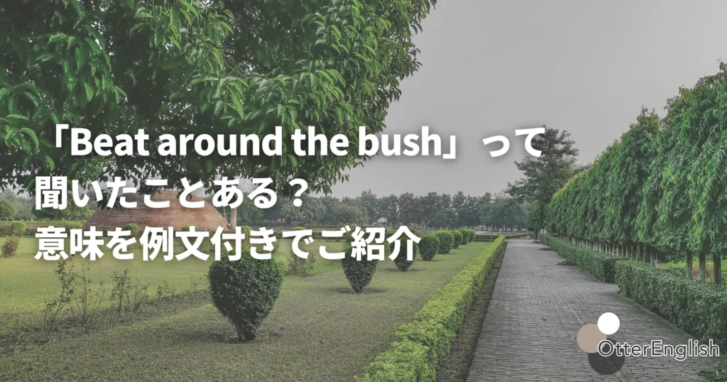 道沿いの茂みの画像