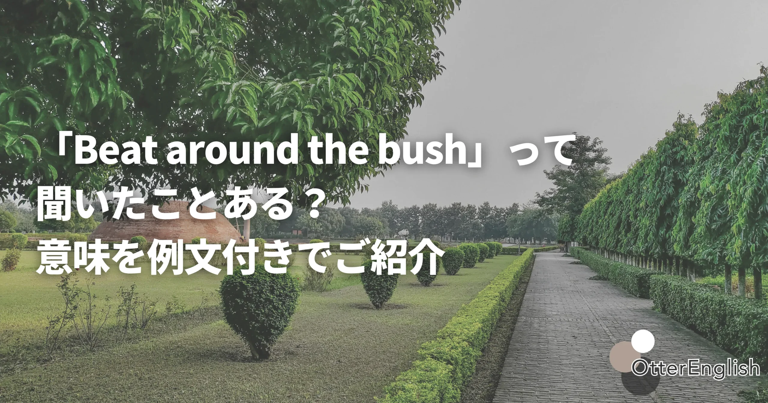 道沿いの茂みの画像