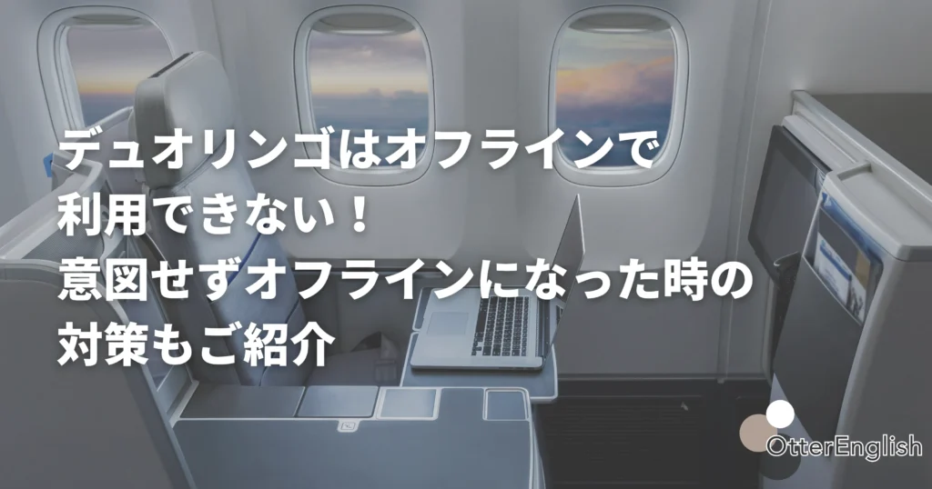 デュオリンゴを使っていたらオフラインになった画像