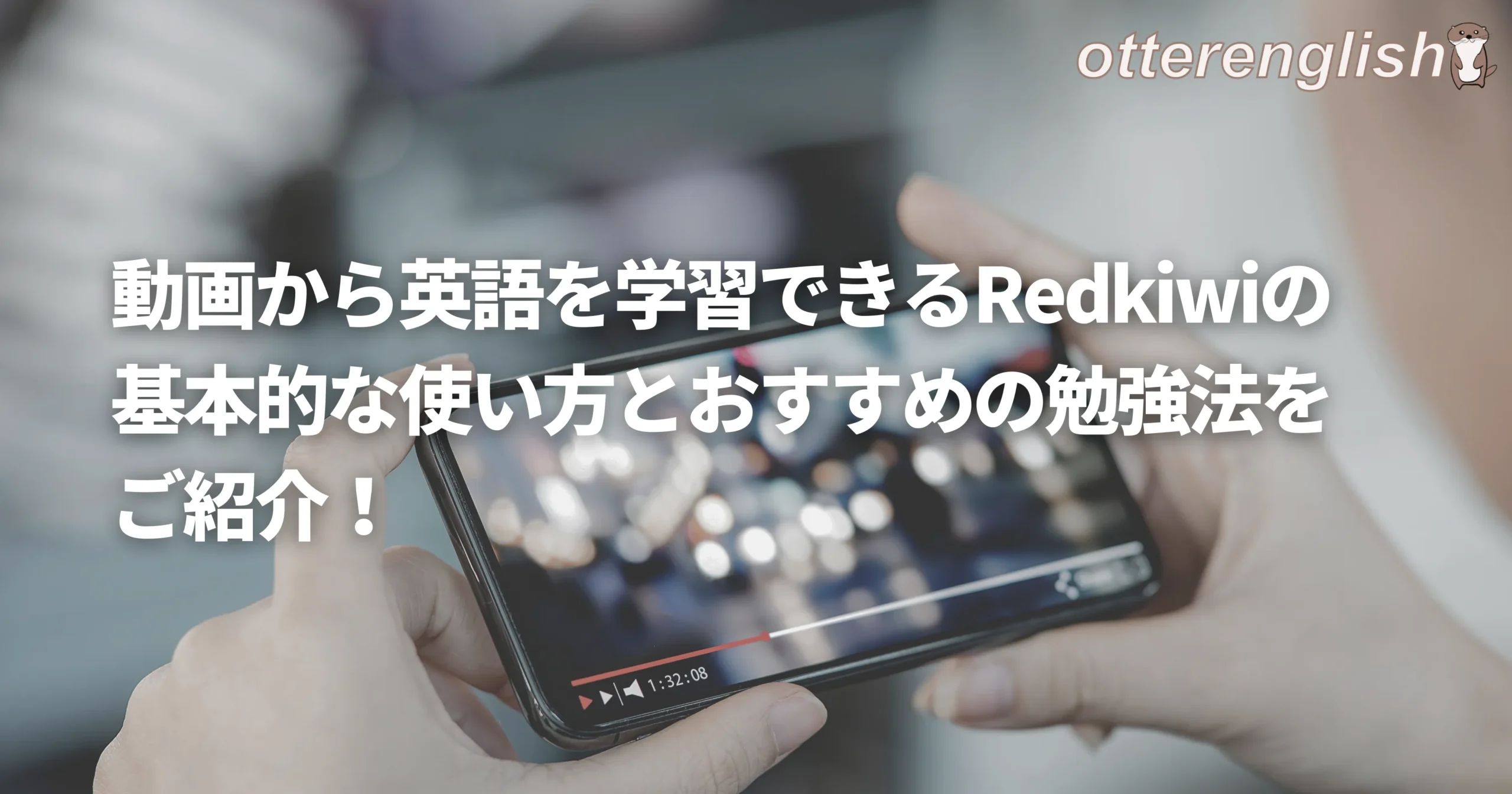 Redkiwiの詳細な使い方の解説記事キャッチ
