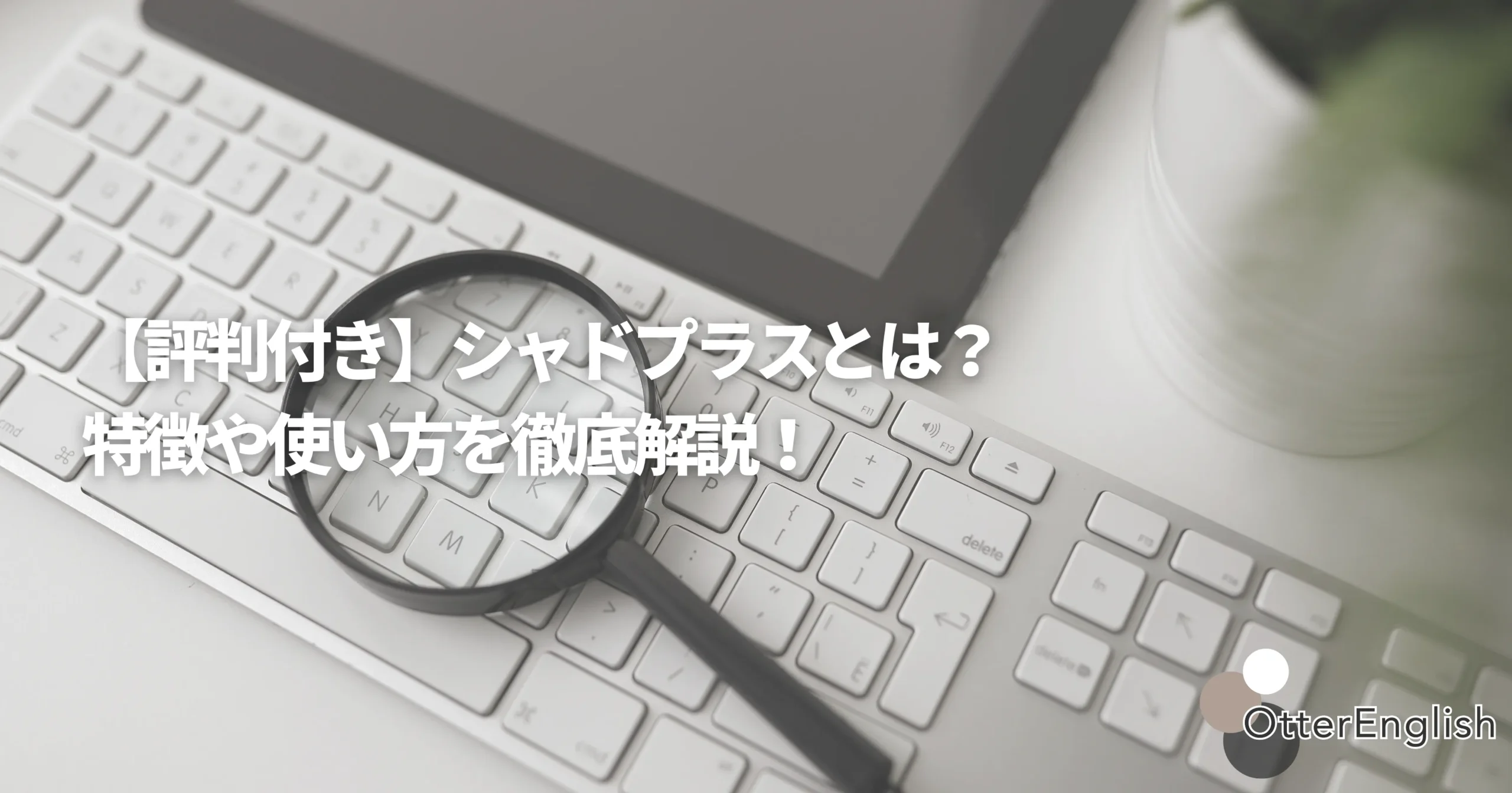シャドプラスの評判を調べている人