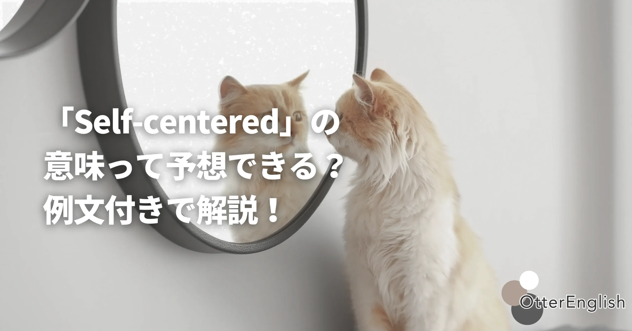 自己中な猫の画像